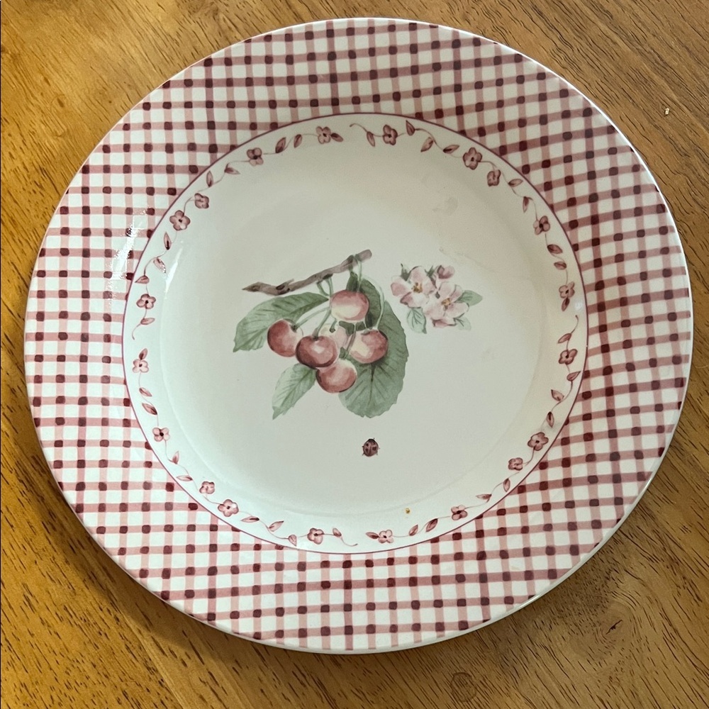 Pfaltzgraff "Delicious" 8 7/8 Inch Salad Plate - Mint Condition